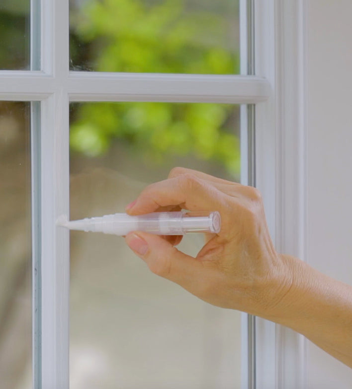 Paint Window Trim